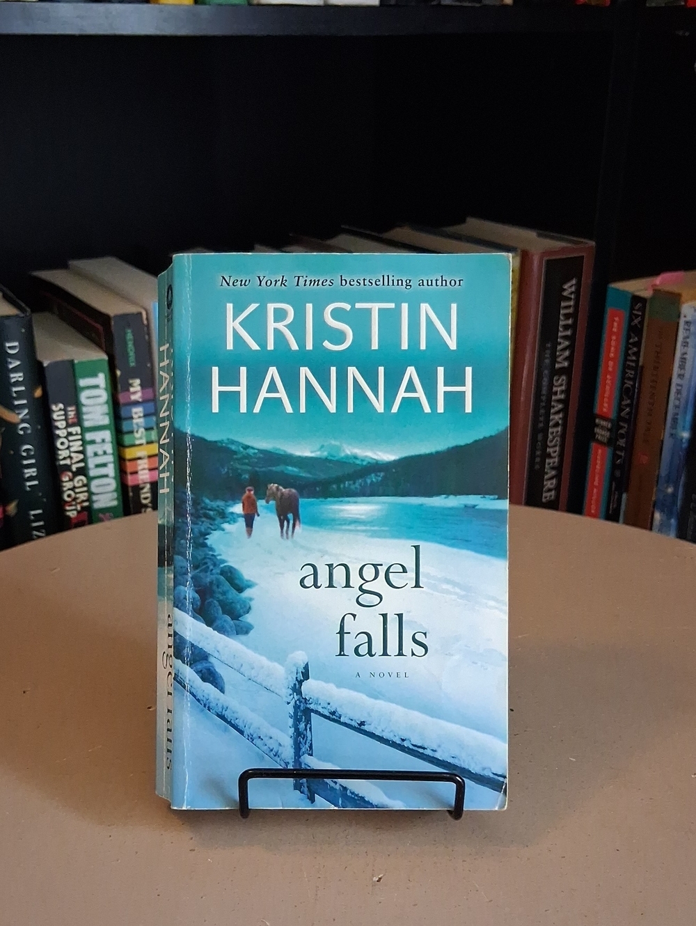 Angel Falls By Kristin Hannah